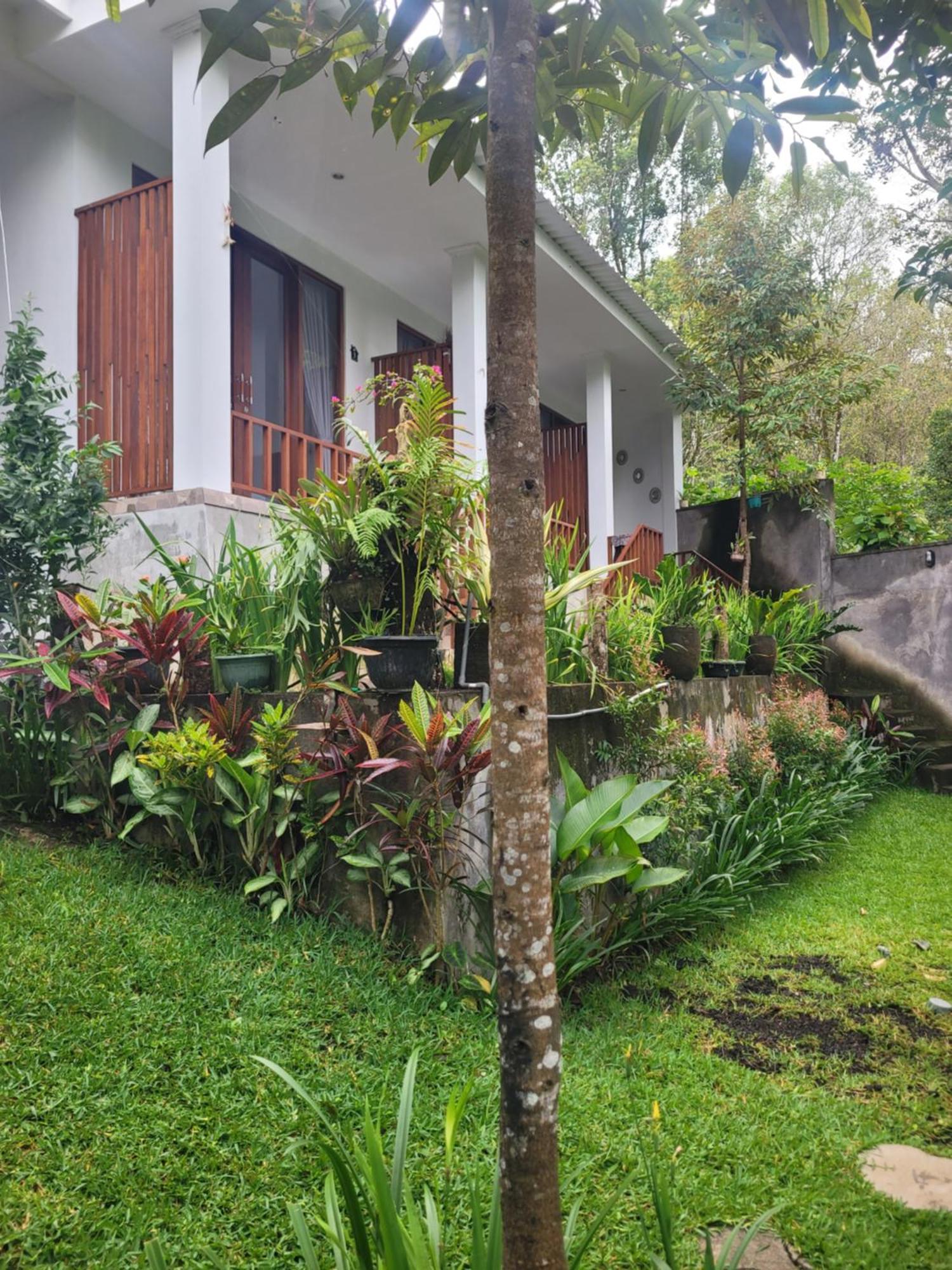 Umah Yugadi Bali Apartment Munduk  Exterior photo